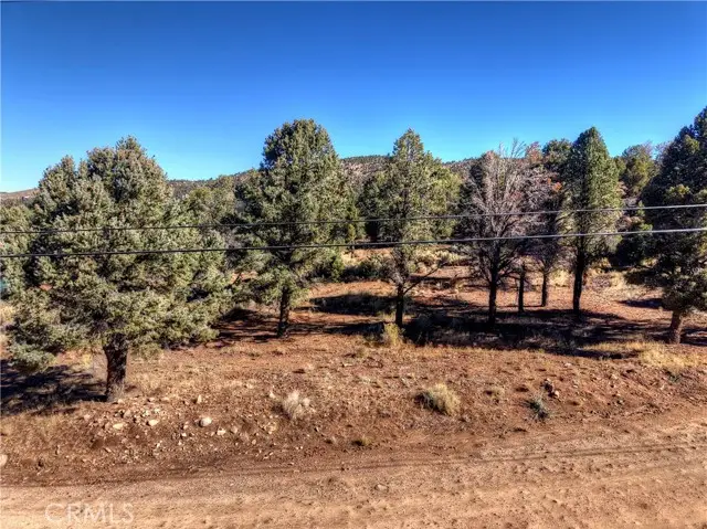 0 Minnow, Big Bear City, CA 92314 - Image #3