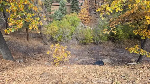 1000 Butte Avenue, Big Bear City, CA 92314