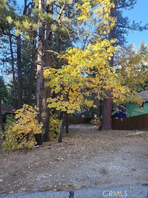 42736 Willow Avenue, Big Bear Lake, CA 92315 - Image #2