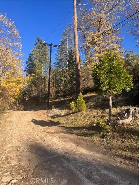 29834 Juniper Drive, Cedar Glen, CA 92321 - #1