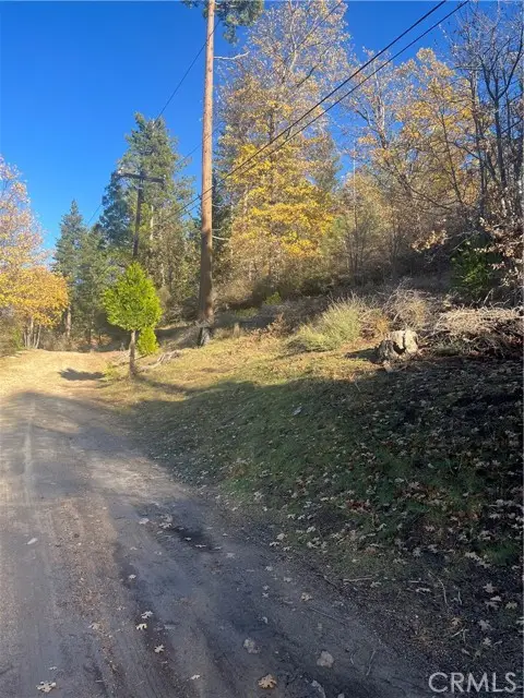 29834 Juniper Drive, Cedar Glen, CA 92321 - #2