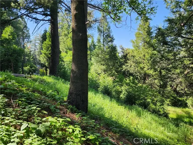 811 Deer Trail, Crestline, CA 92325 - Image #2