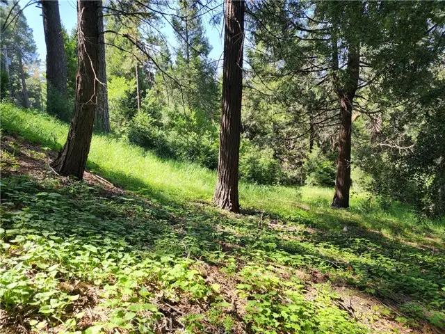 811 Deer Trail, Crestline, CA 92325 - Image #3