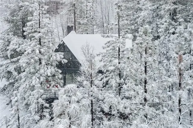 28287 Bern Lane, Lake Arrowhead, CA 92352 - #2