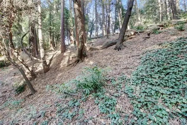 2661 Scenic, Crestline, CA 92325