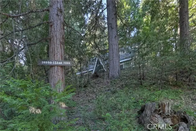 28999 Cedar Terrace, Cedar Glen, CA 92321 - #3