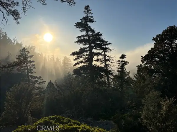 0 Ironwood, Angelus Oaks, CA 92305