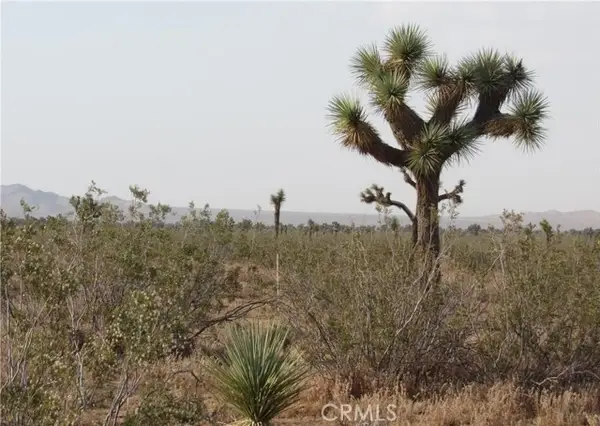 0 3129-171-06-0000 Caughlin Road, Adelanto, CA 92301