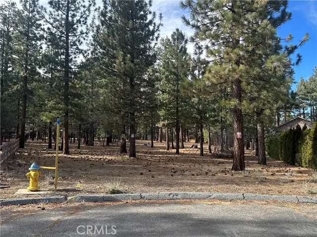 1801 Shady, Big Bear City, CA 92314 - #1