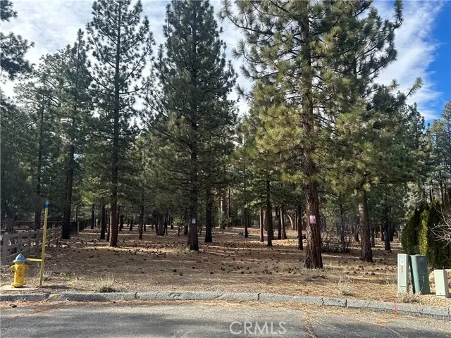 1801 Shady, Big Bear City, CA 92314 - #3