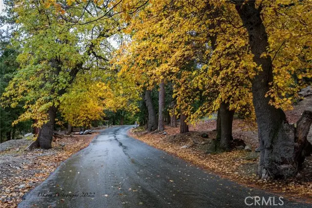 40204 Valley Of The Falls, Forest Falls, CA 92339 - #2