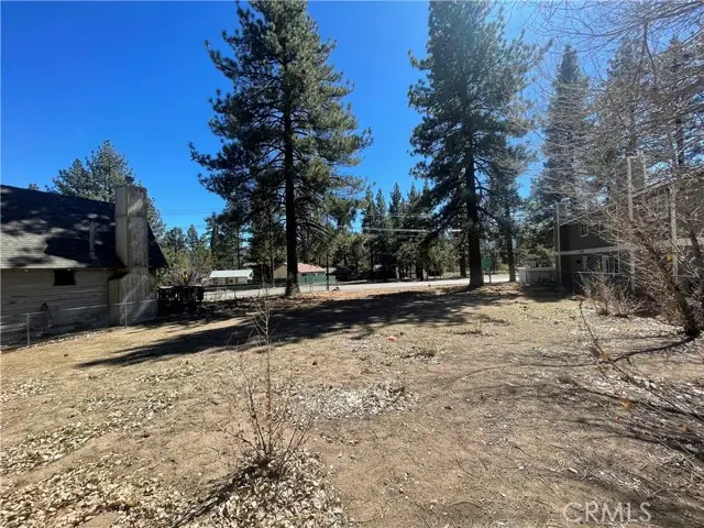 109 W North Shore Drive, Big Bear City, CA 92314 - #2