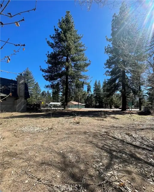 109 W North Shore Drive, Big Bear City, CA 92314 - #3