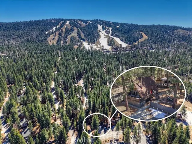 41959 Brownie, Big Bear Lake, CA 92315 - #3