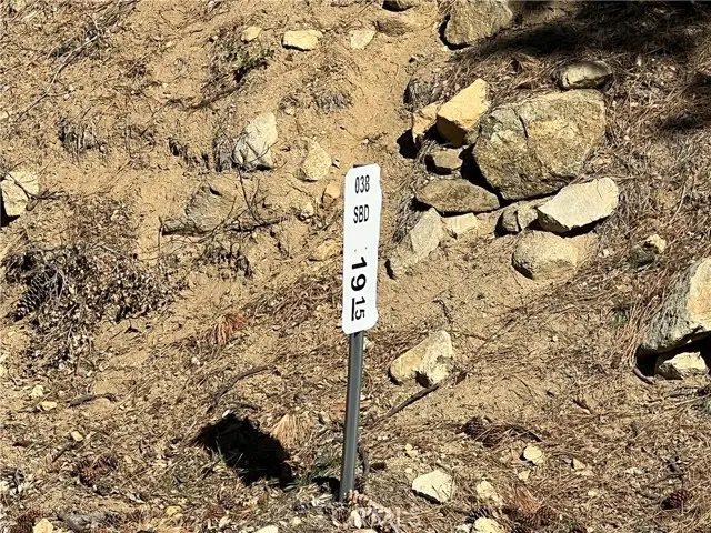 0 Ca-38, Angelus Oaks, CA 92305 - #3