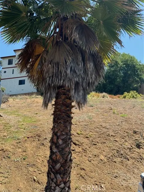 3713 Aguilar Street, Los Angeles, CA 90065 - Image #3