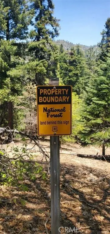 0 Deep Creek Drive, Running Springs, CA 92382 - Image #2