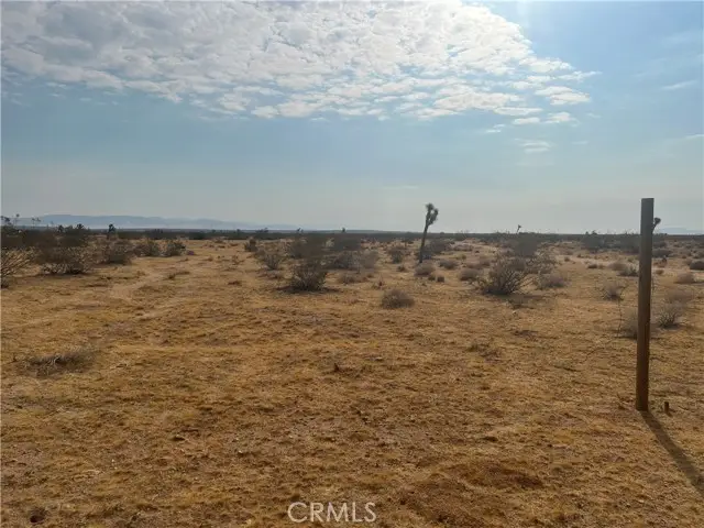 338 Stable Road, Landers, CA 92285 - Image #2