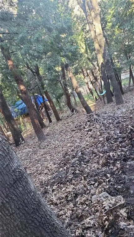 0 Bowl Road, Crestline, CA 92325 - #2