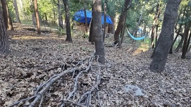 0 Bowl Road, Crestline, CA 92325 - #3