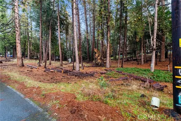 1 Old Madrone Road, Pioneer, CA 95666