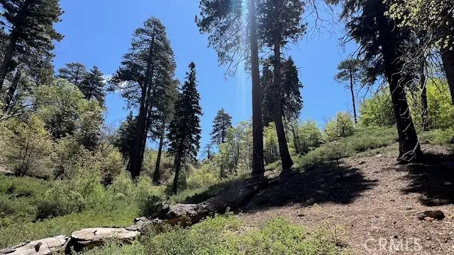 33796 Cedar Pines Lane, Green Valley Lake, CA 92341 - Image #3