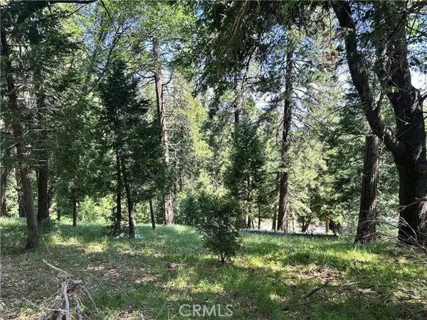 0 Bone Drive, Cedarpines Park, CA 92322