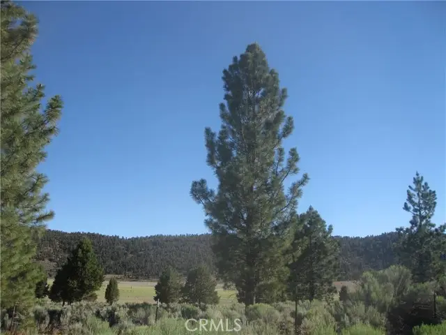 2805 Cedar Lane, Big Bear City, CA 92314 - #1