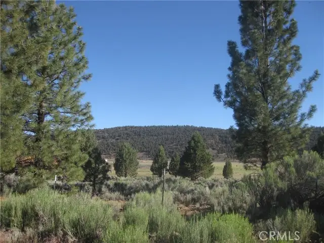 2805 Cedar Lane, Big Bear City, CA 92314 - #2