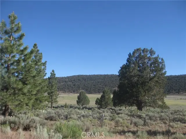 2809 Cedar Lane, Big Bear City, CA 92314 - Image #3