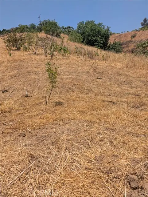 3104 Lincoln Park Avenue, Los Angeles, CA 90031 - Image #1