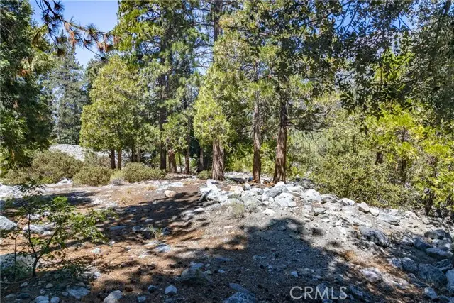 0 Quercus Drive, Forest Falls, CA 92339 - Image #2
