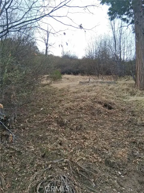 0 Pine Drive, Cedar Glen, CA 92321 - Image #1