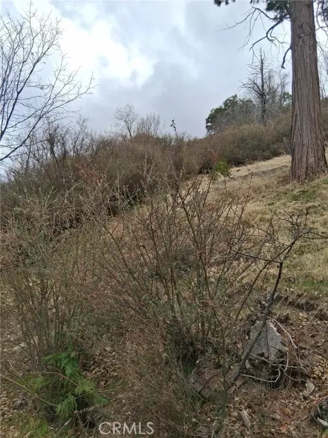 0 Pine Drive, Cedar Glen, CA 92321 - Image #2