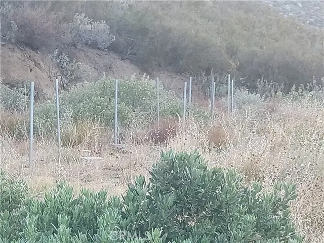 48850 Horse Trail Road, Banning, CA 92220 - #2