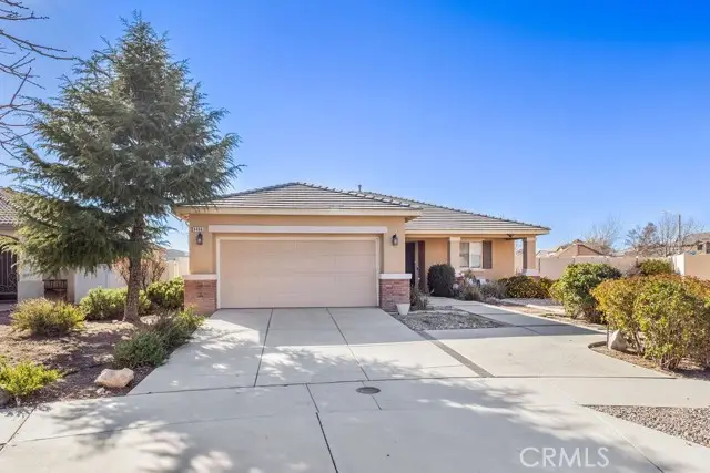 8466 Hoover Court, Oak Hills, CA 92344 - #3