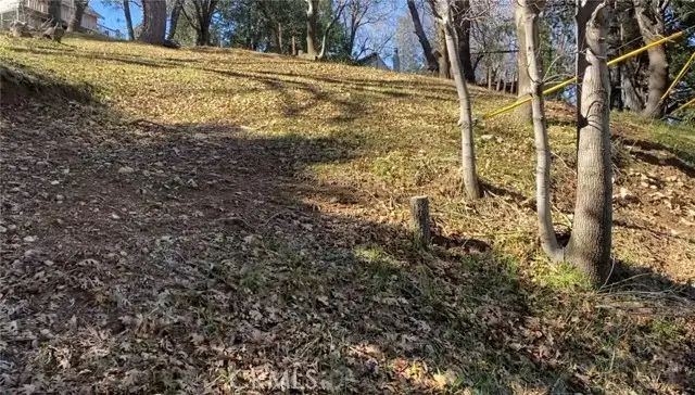 547 Arbula Drive, Crestline, CA 92325 - #1