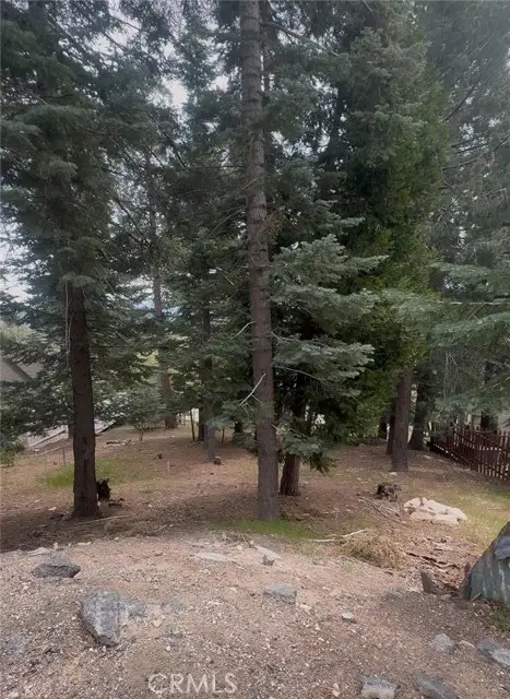 295 Grandview, Twin Peaks, CA 92391 - #1