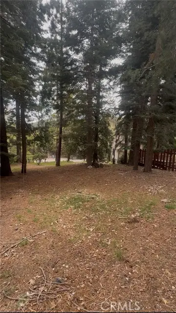 295 Grandview, Twin Peaks, CA 92391 - #2