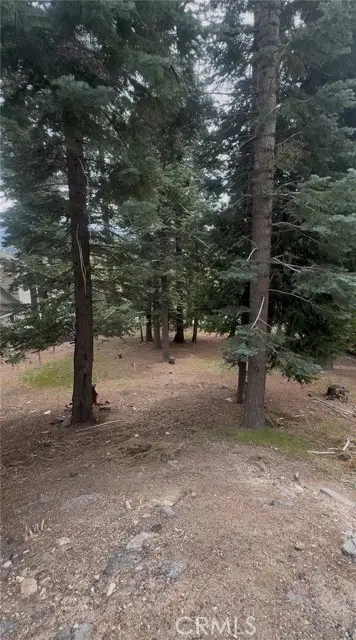 295 Grandview, Twin Peaks, CA 92391 - #3