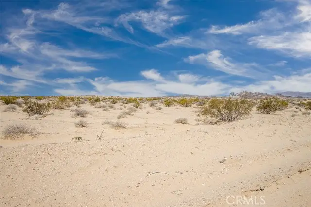 4500 Blower Road, Twentynine Palms, CA 92277 - #2