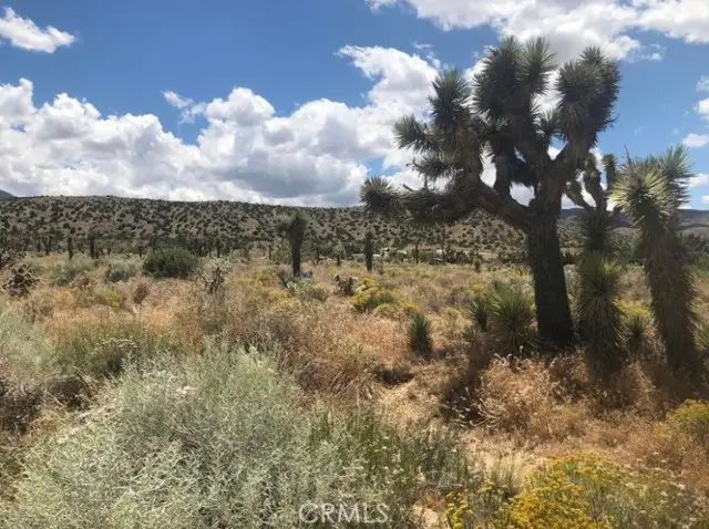 0 Vac/pearblossom Pav /vic 160 S, Llano, CA 93591 - #1