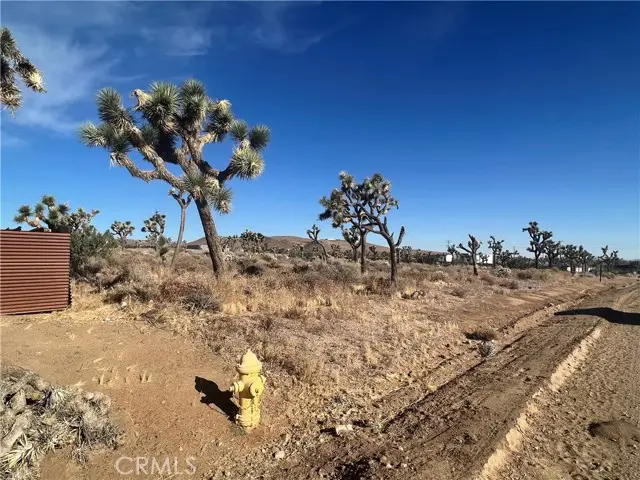 111 Wallaby, Yucca Valley, CA 92284 - Image #3