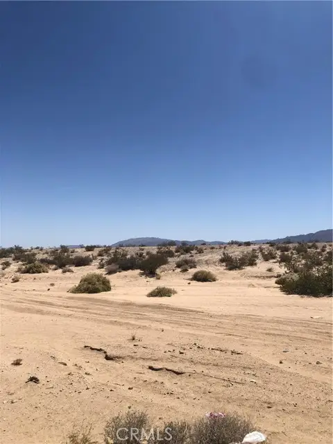 71440 Palmyra, Twentynine Palms Yucca Valley, CA 92277 - #1
