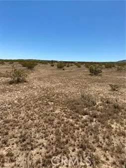 0 Fetlock, Landers, CA 92284 - Image #3