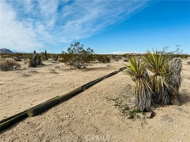 1234 Desert Lily Street, Joshua Tree, CA 92252 - #1