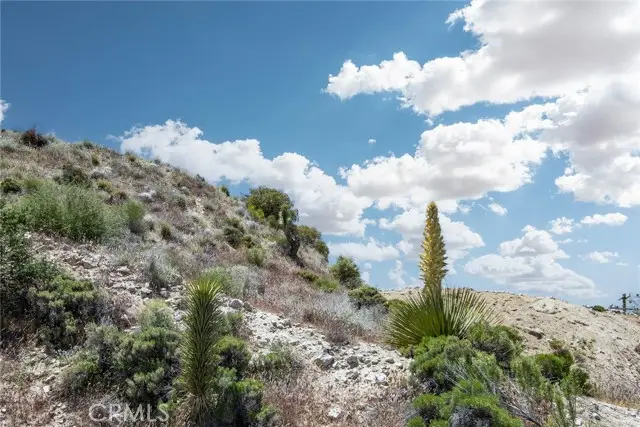 54129 Pinon Drive, Yucca Valley, CA 92284 - Image #2