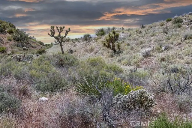 54129 Pinon Drive, Yucca Valley, CA 92284 - Image #3