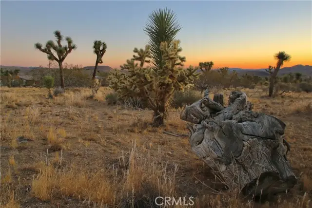 7635 La Contenta Road, Joshua Tree, CA 92284 - Image #2