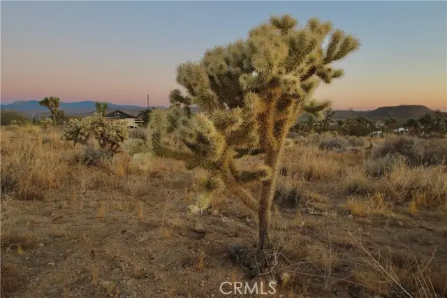 7635 La Contenta Road, Joshua Tree, CA 92284 - Image #3